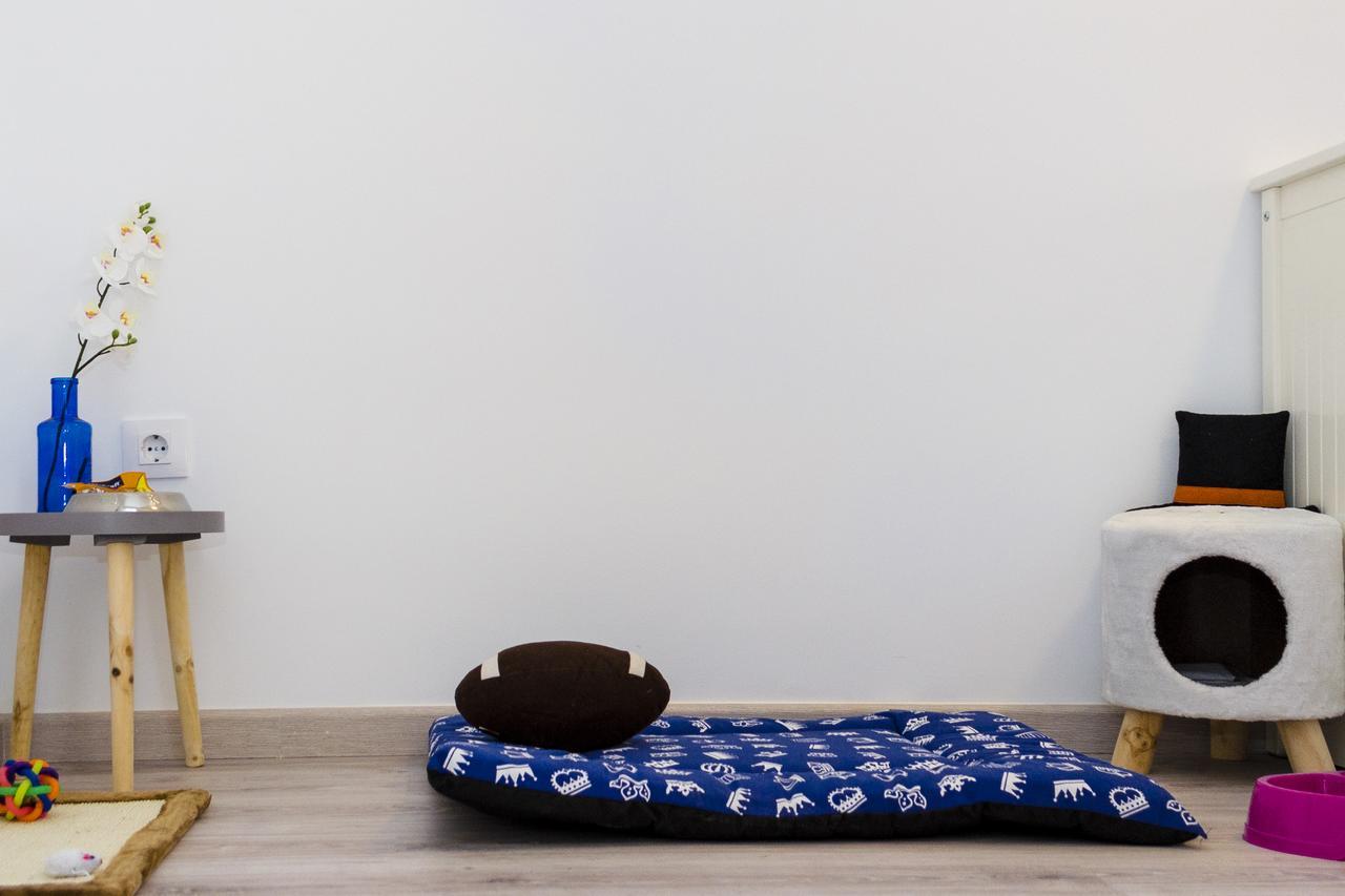 ApartUP Viveros Pets Valencia Exteriör bild